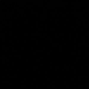 Meet your Posher, Zena